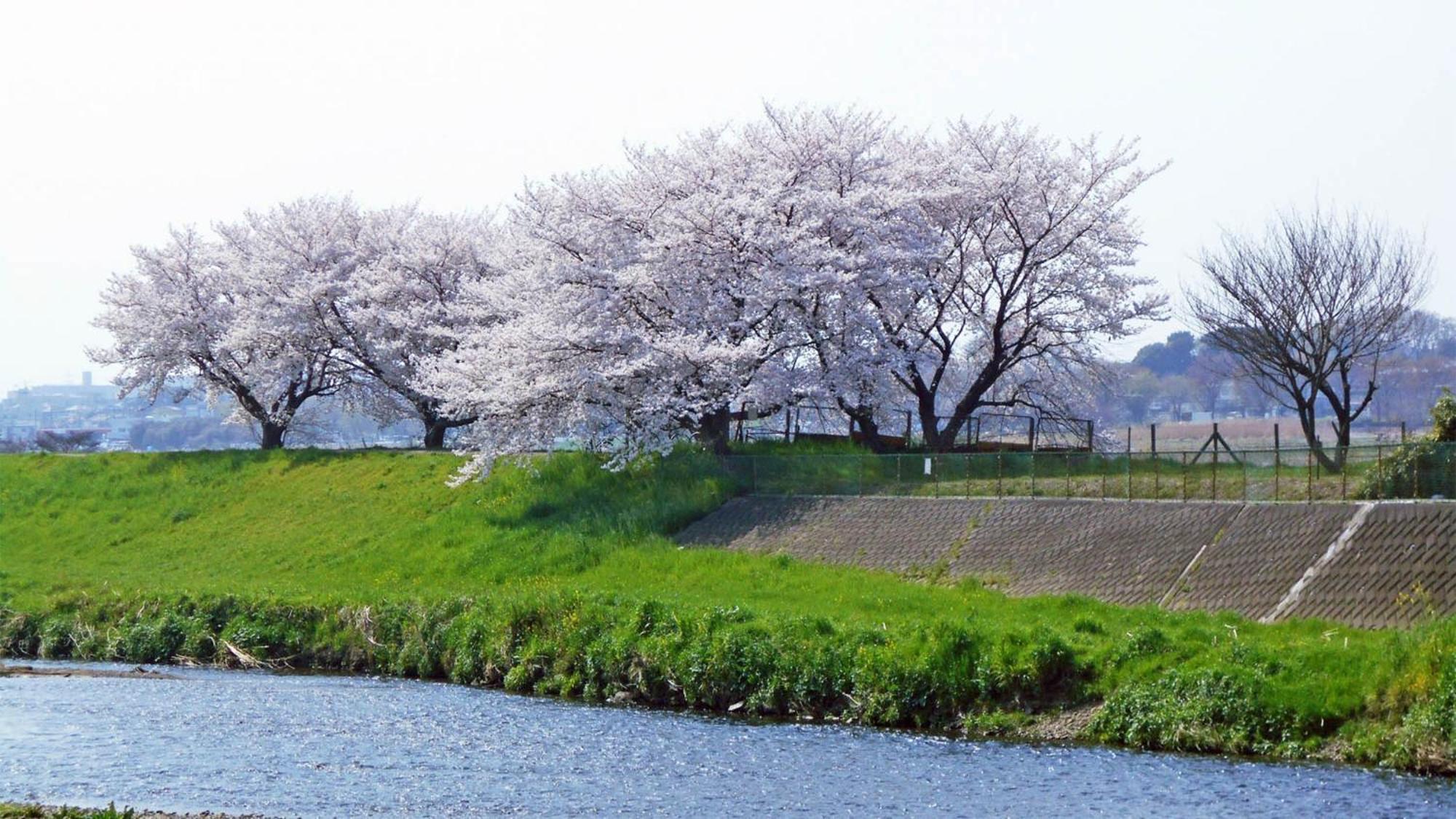Toyoko Inn Shiki Eki Higashi Guchi Exterior photo